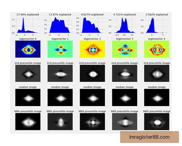 IM体育全面解析：赛事动态、技巧提升与最新资讯全攻略